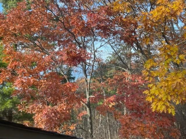 12C Pinnacle Place, Glen Arbor, MI 49636