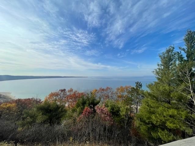 12C Pinnacle Place, Glen Arbor, MI 49636