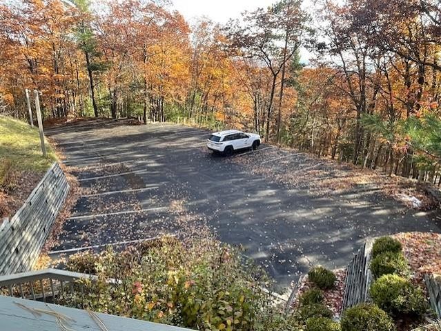 12C Pinnacle Place, Glen Arbor, MI 49636