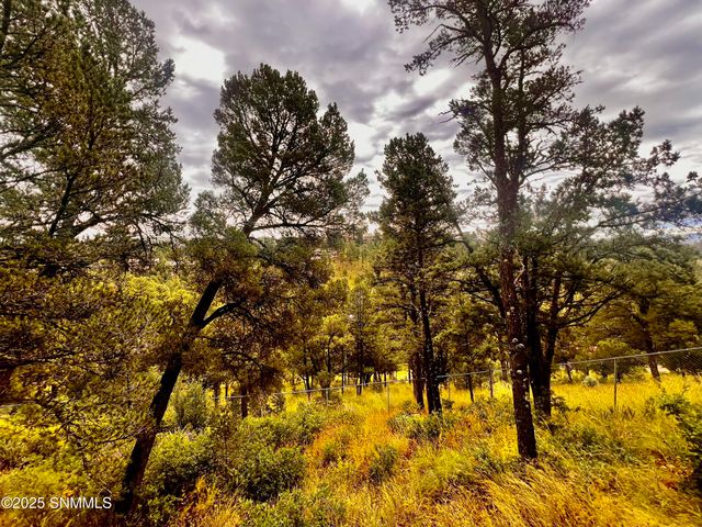 137 Willie Horton Dr., Ruidoso, NM 88345