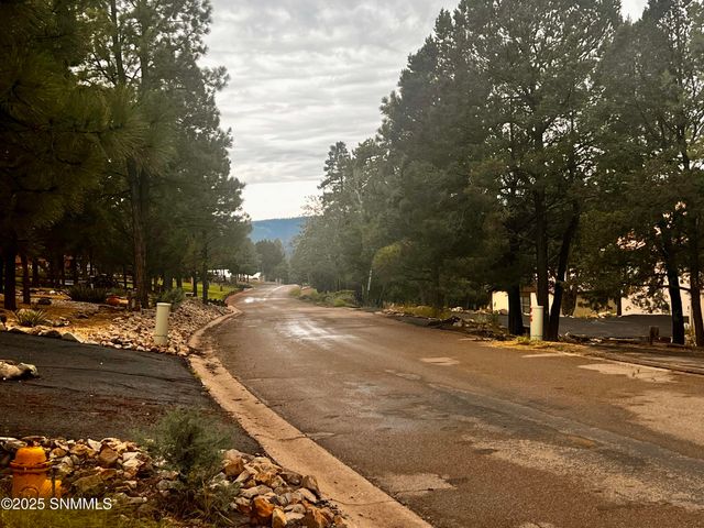 137 Willie Horton Dr., Ruidoso, NM 88345