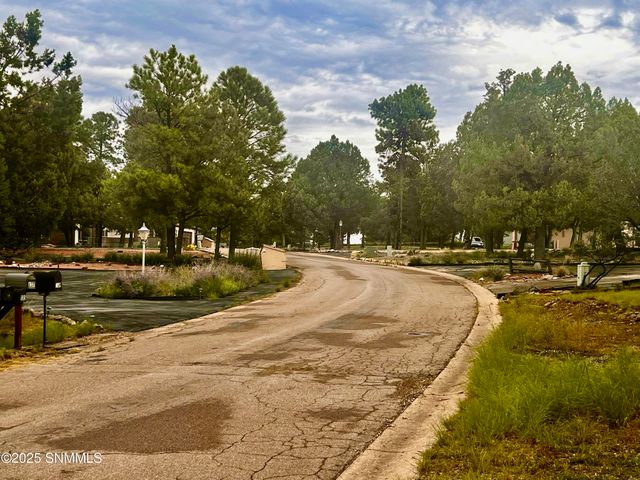 137 Willie Horton Dr., Ruidoso, NM 88345