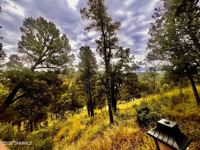 137 Willie Horton Dr., Ruidoso, NM 88345