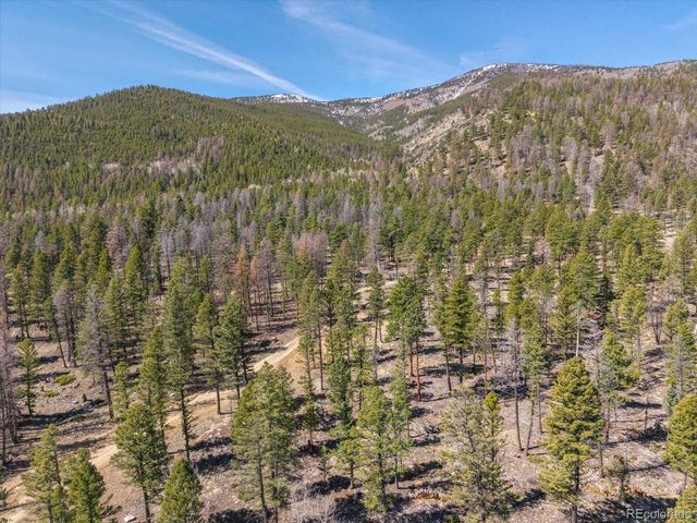 18898 Monte Escondido Ct, Buena Vista, CO 81211