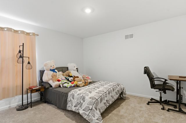 16117 S Longcommon Lane, Plainfield, IL 60586