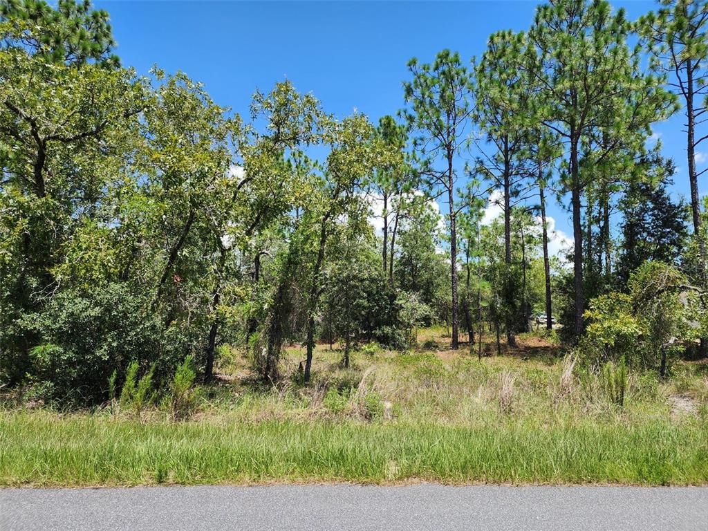 SW BEACH BOULEVARD, Dunnellon, FL 34431