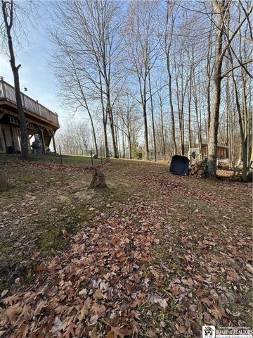 360 Wheeler Hill Rd C, Carroll, NY 14738