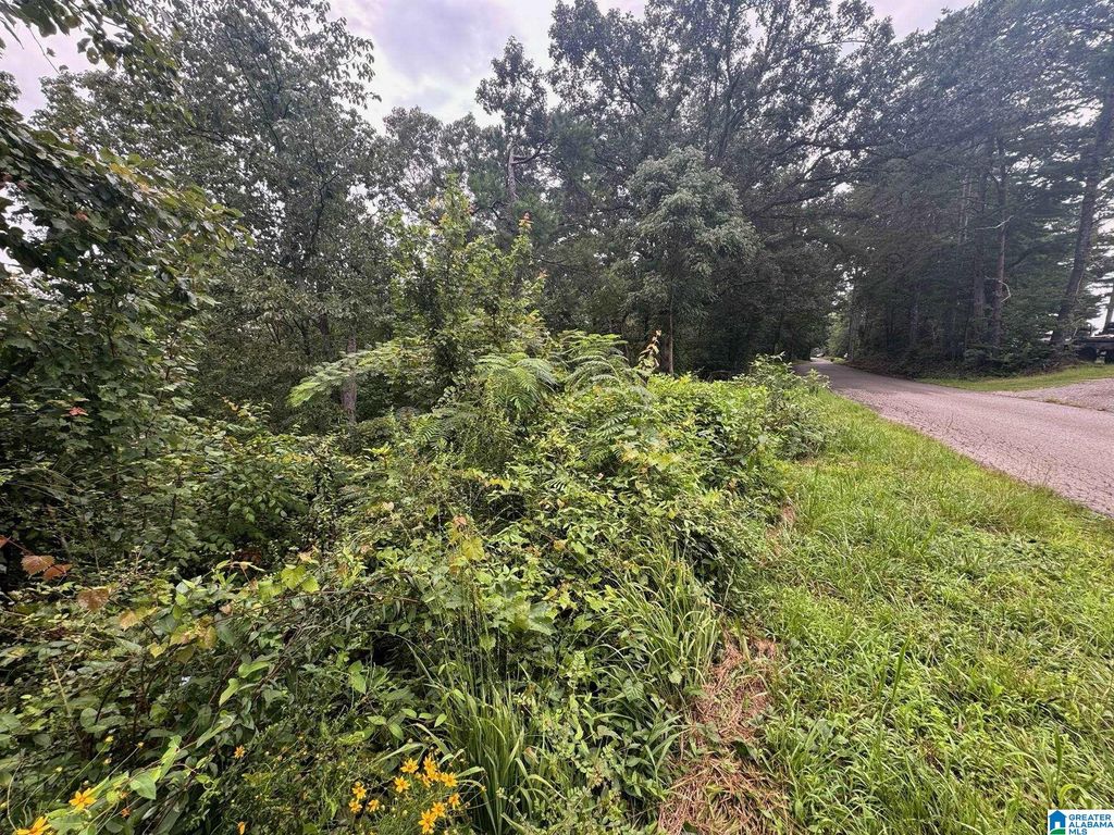0 LEVINE ROAD, Odenville, AL 35120