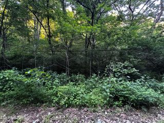 Highway 61 East, Luttrell, TN 37779