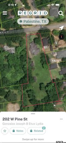 202 W Pine, Palestine, TX 75801