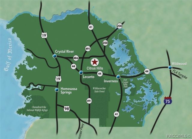 1118 N Hunt Club Drive, Hernando, FL 34442