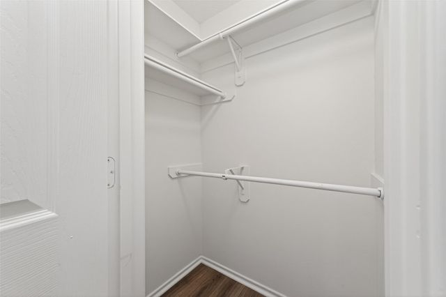 19902 Chaste Tree Lane, Humble, TX 77338