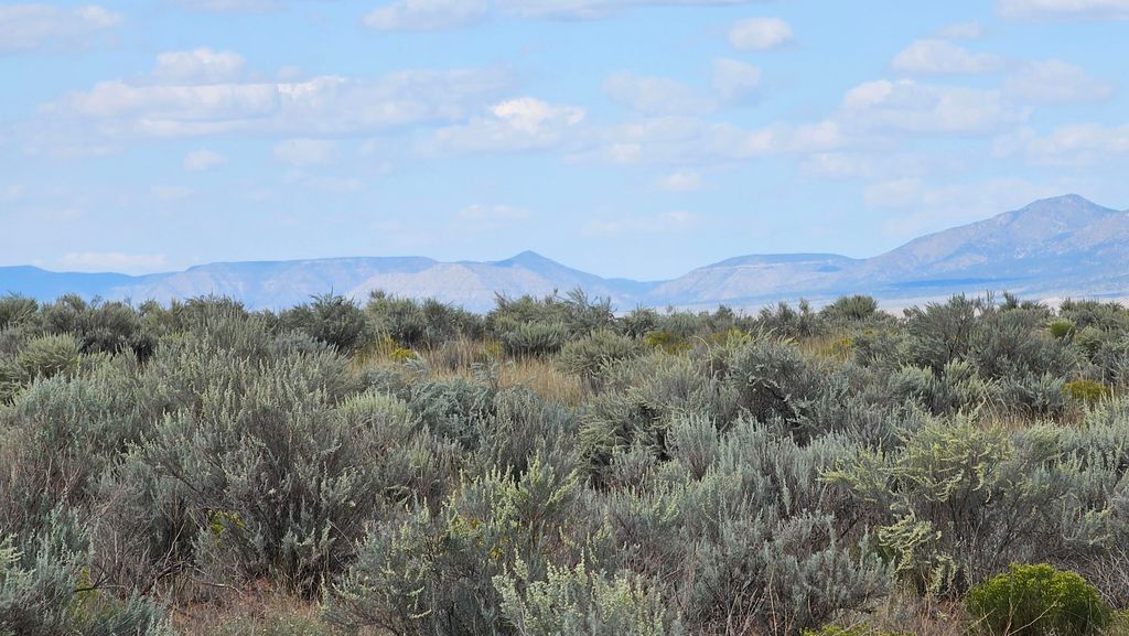 RGE Lot 16 Block 377, Belen, NM 87002