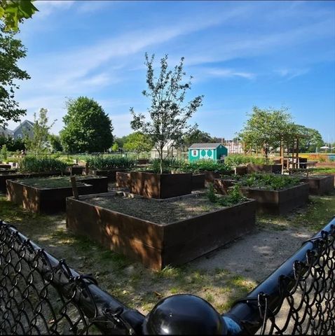 48 Prince Street 3, Salem, MA 01970