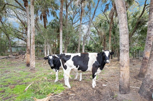 6649 PIMLICO STREET, North Port, FL 34291