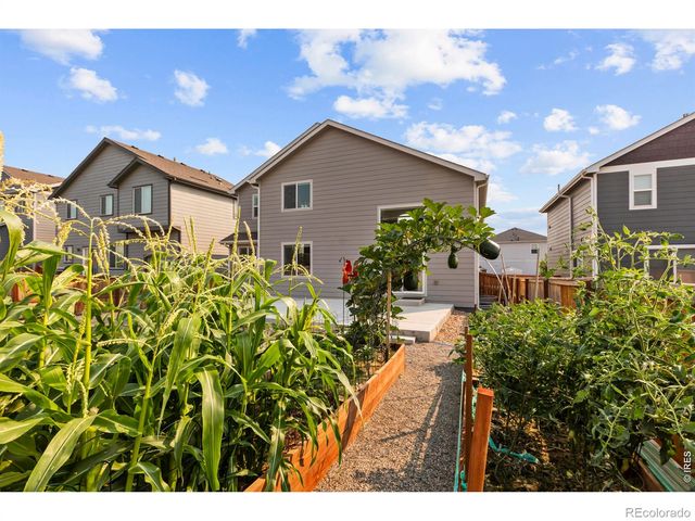 865 Emerald Lakes Street, Severance, CO 80550