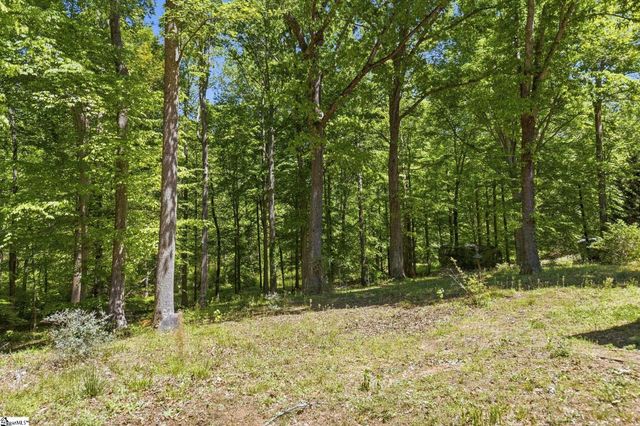 305 Dill Circle, Landrum, SC 29356