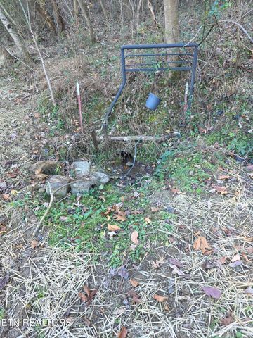 1288 Maiden Ln Lane, Jellico, TN 37762