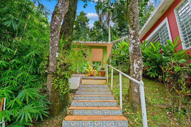 Carr 186 km 22.1 BO. JIMÉNEZ LOT 16, Rio Grande, PR 00745