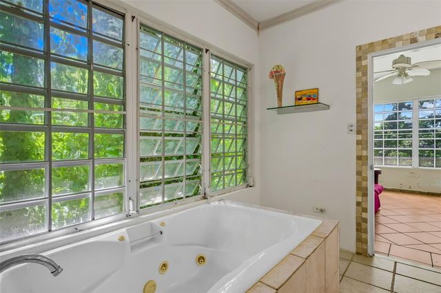 Carr 186 km 22.1 BO. JIMÉNEZ LOT 16, Rio Grande, PR 00745