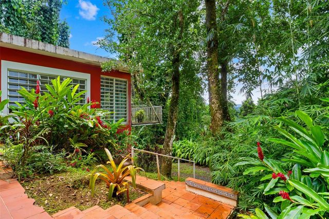 Carr 186 km 22.1 BO. JIMÉNEZ LOT 16, Rio Grande, PR 00745