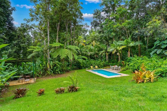 Carr 186 km 22.1 BO. JIMÉNEZ LOT 16, Rio Grande, PR 00745