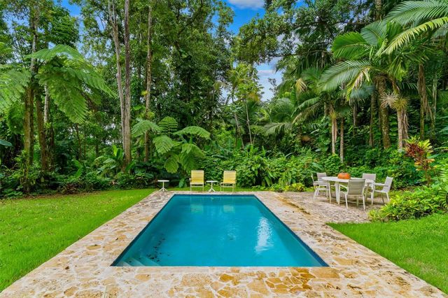 Carr 186 km 22.1 BO. JIMÉNEZ LOT 16, Rio Grande, PR 00745