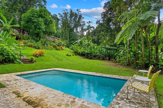 Carr 186 km 22.1 BO. JIMÉNEZ LOT 16, Rio Grande, PR 00745