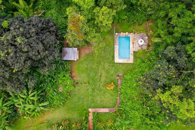 Carr 186 km 22.1 BO. JIMÉNEZ LOT 16, Rio Grande, PR 00745