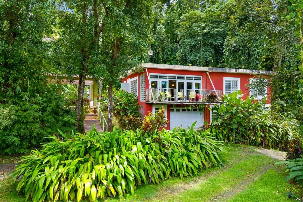 Carr 186 km 22.1 BO. JIMÉNEZ LOT 16, Rio Grande, PR 00745