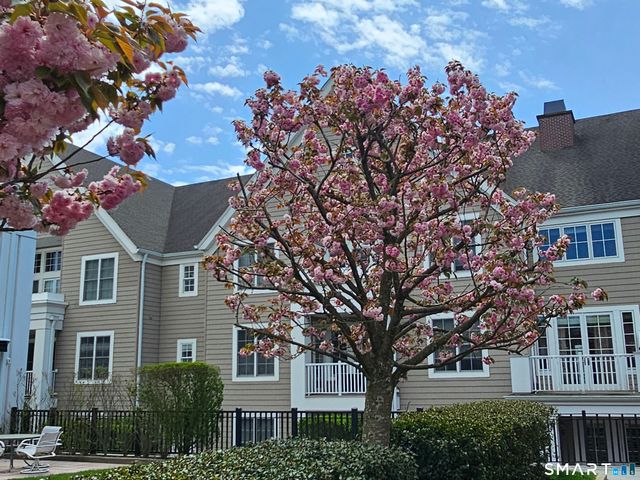 77 Havemeyer Lane 310, Stamford, CT 06902