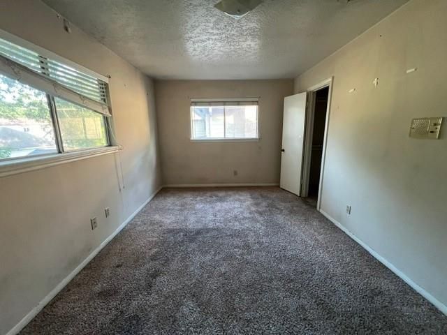 17323 Tall Cypress Drive, Spring, TX 77388