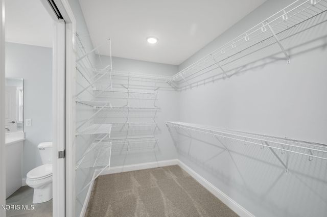 11171 Whitetail Way, Whitehouse, OH 43571