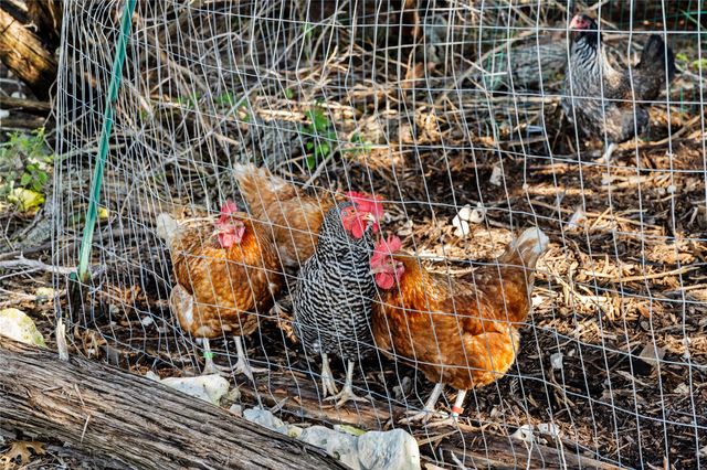 1122 Flint Rock LOOP, Driftwood, TX 78619