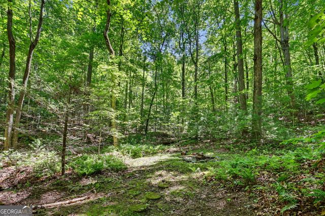 252 Navigator Lane, Tiger, GA 30576