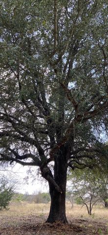 TBD Private Road 190, Blum, TX 76627