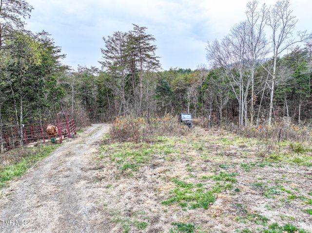 750 Tom White Hollow Road Road, Mohawk, TN 37810