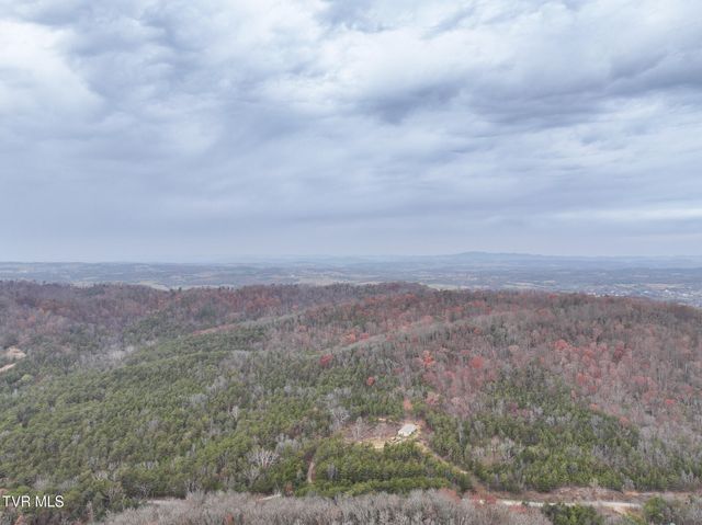 750 Tom White Hollow Road Road, Mohawk, TN 37810