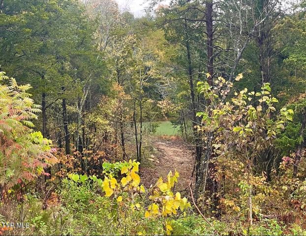 750 Tom White Hollow Road Road, Mohawk, TN 37810