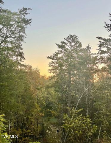 750 Tom White Hollow Road Road, Mohawk, TN 37810