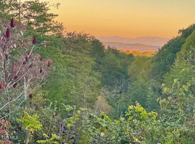 750 Tom White Hollow Road Road, Mohawk, TN 37810