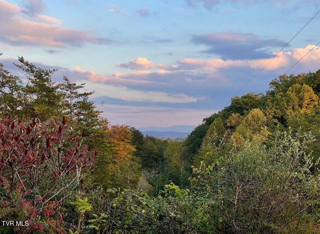 750 Tom White Hollow Road Road, Mohawk, TN 37810