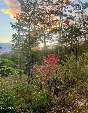 750 Tom White Hollow Road Road, Mohawk, TN 37810