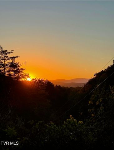 750 Tom White Hollow Road Road, Mohawk, TN 37810