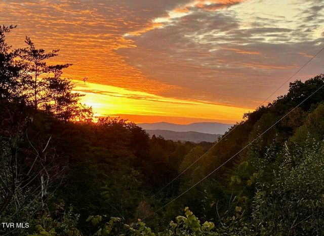 750 Tom White Hollow Road Road, Mohawk, TN 37810