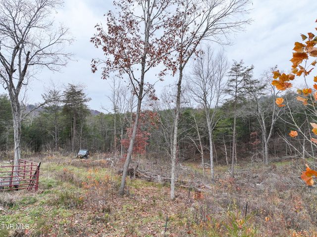 750 Tom White Hollow Road Road, Mohawk, TN 37810