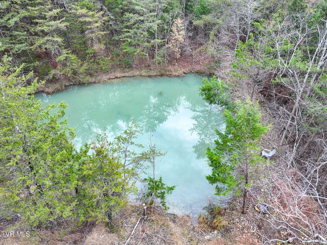 750 Tom White Hollow Road Road, Mohawk, TN 37810