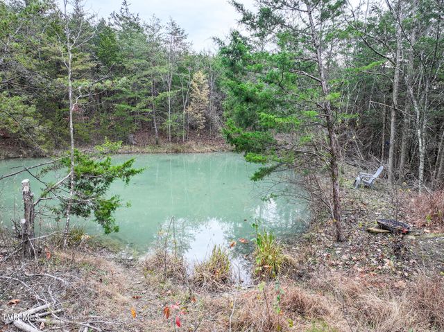 750 Tom White Hollow Road Road, Mohawk, TN 37810