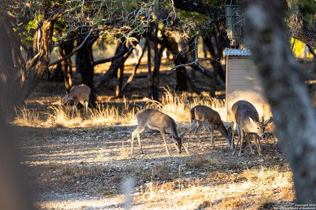 488 Phillip, Pipe Creek, TX 78063