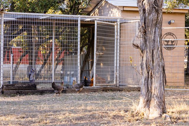 488 Phillip, Pipe Creek, TX 78063